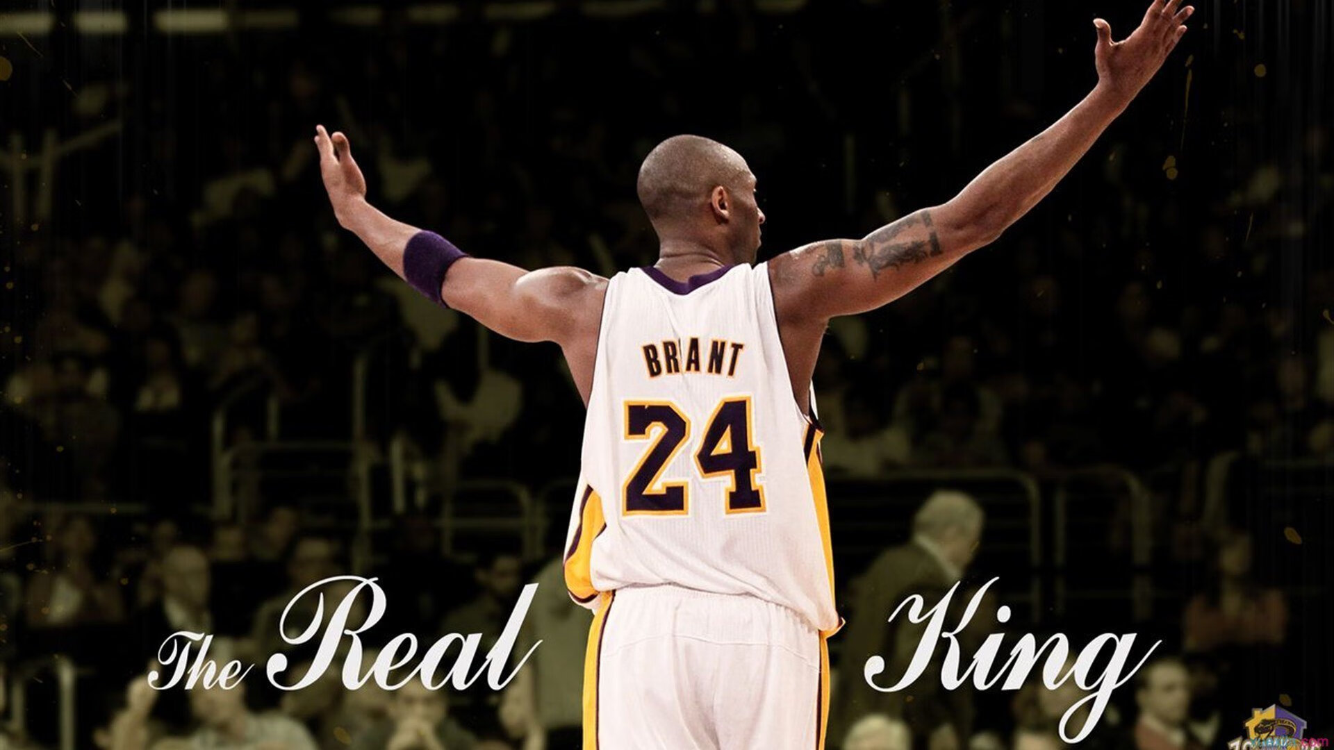 开运app入口-技术保障：赛事方部署网络抗压方案保障线上赛稳定性